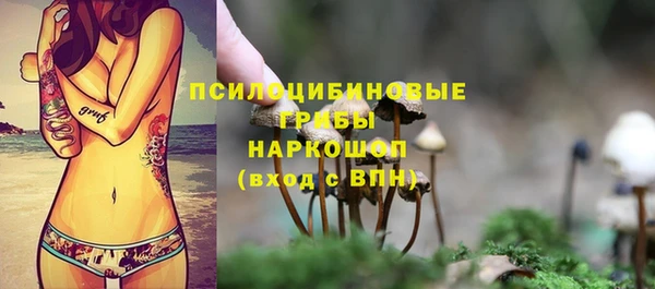прущая мука Абаза