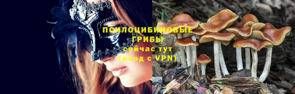хмурый Алексеевка