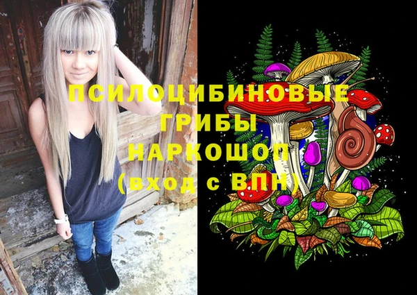шишки Абинск