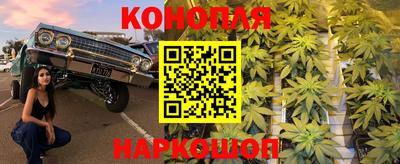 гидра Жуковский