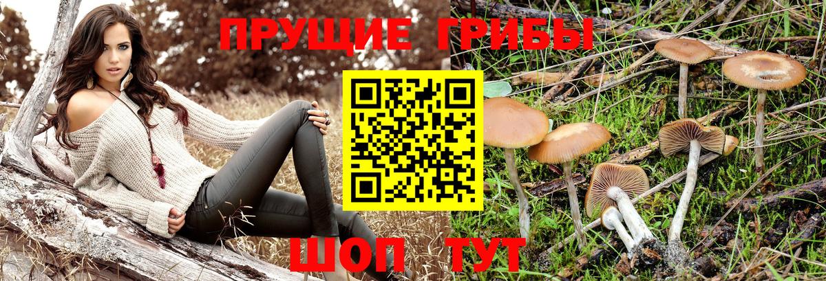 Псилоцибиновые грибы ЛСД  Вход с VPN  Луга 